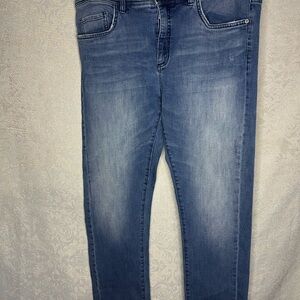 Anthropologie Pilcro and the Letterpress Blue Slim Boyfriend Jeans Sz 32